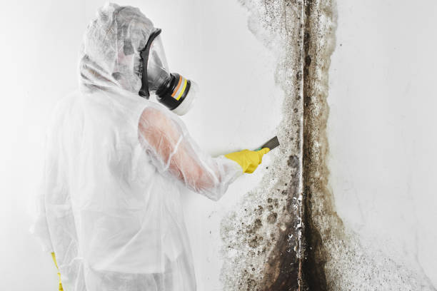 Best Crawl Space Mold Removal  in Santa Venetia, CA