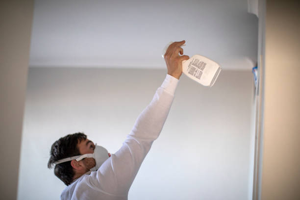 Home Mold Removal in Santa Venetia, CA