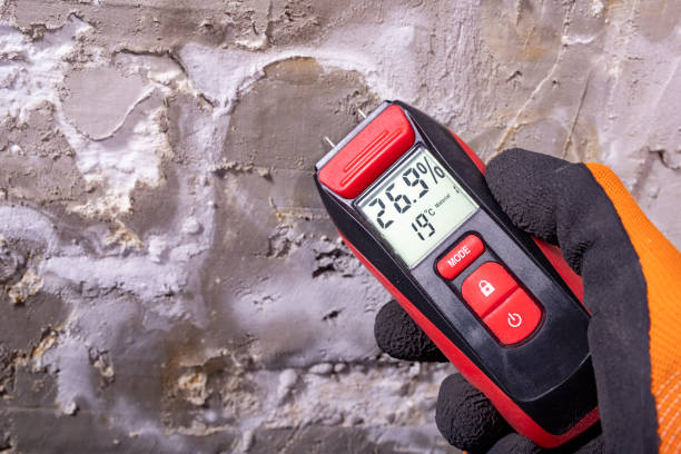 Best Mold Cleaning Services  in Santa Venetia, CA