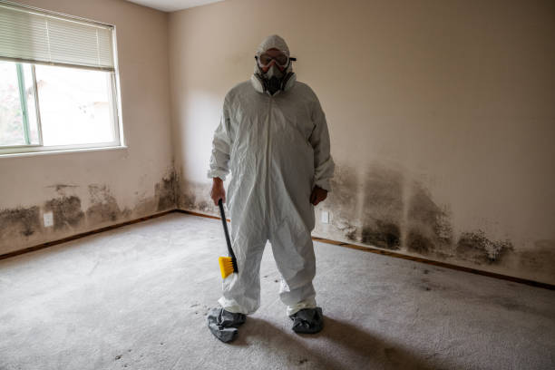 Trusted Santa Venetia, CA Mold Removal Experts